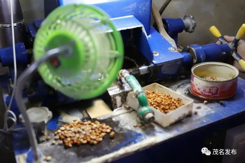 超4億元 信宜小小欖雕硬核 欖 財(cái)